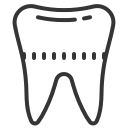 tooth